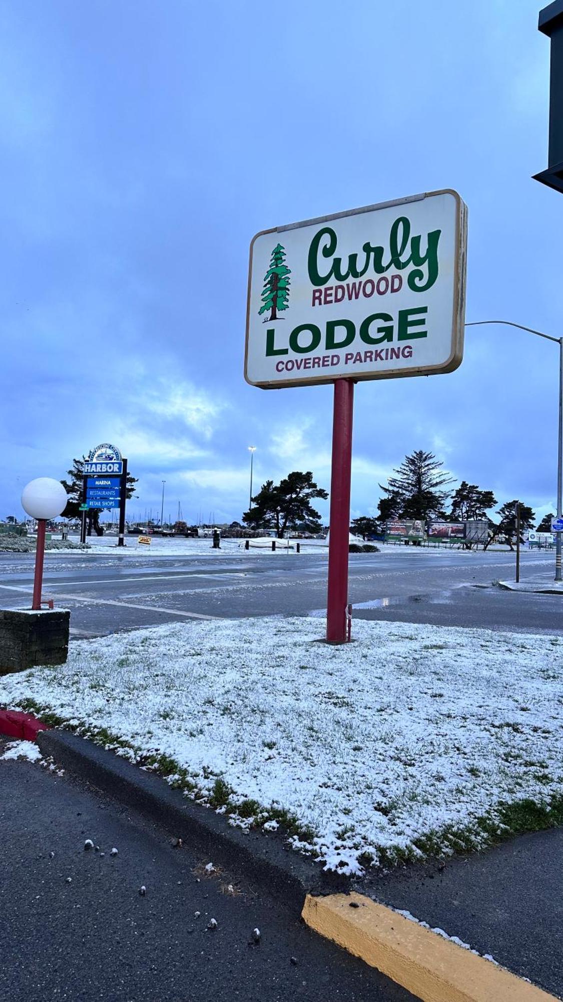 Curly Redwood Lodge Crescent City Buitenkant foto